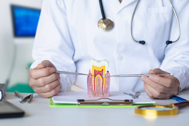 Best Emergency Care for Gum Disease in Jackson, CA